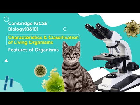 Features of Organisms : The Five Animal Kingdoms | IGCSE Biology Tutorial