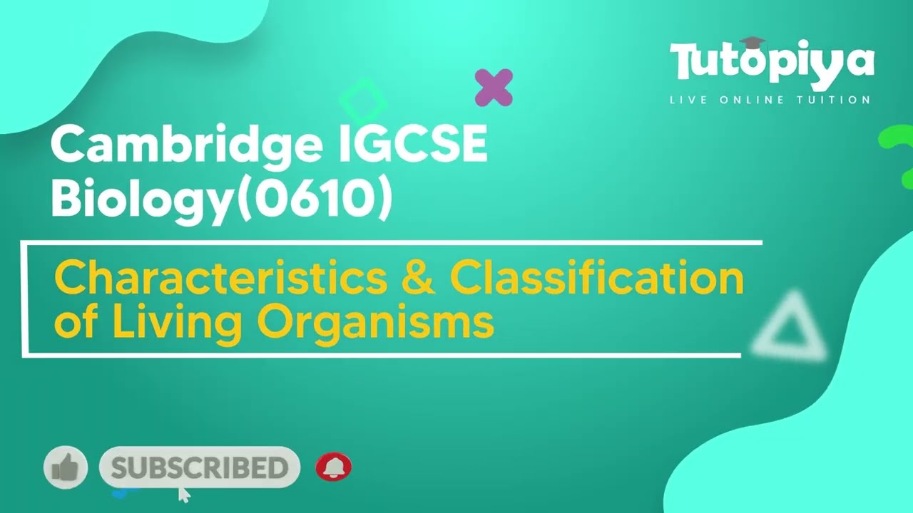 Features of Organisms : Groups within the plant kingdom | IGCSE Biology Tutorial