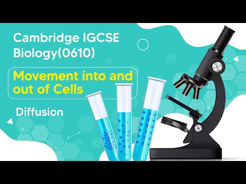 Unlocking the Mysteries of Cellular Diffusion | Cambridge IGCSE Biology