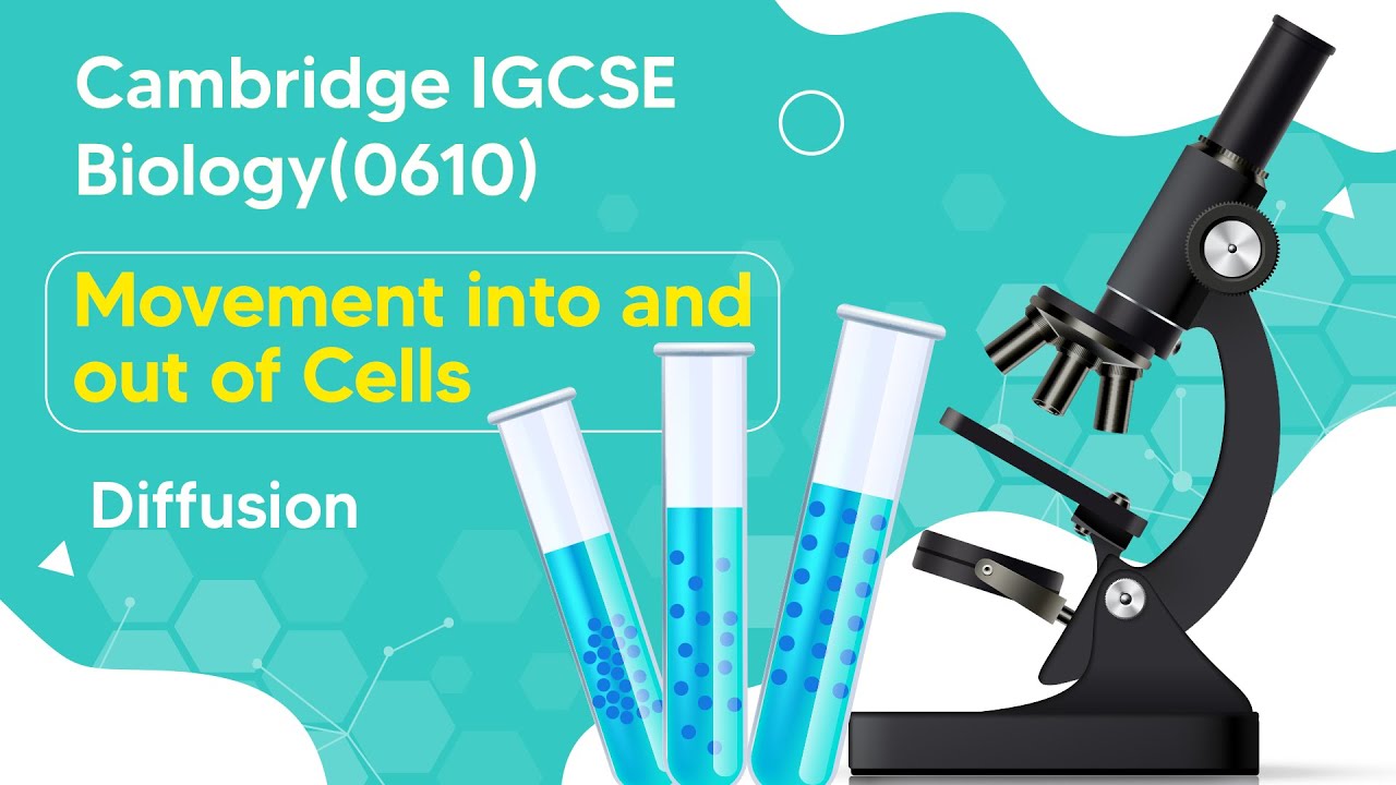 Unlocking the Mysteries of Cellular Diffusion | Cambridge IGCSE Biology
