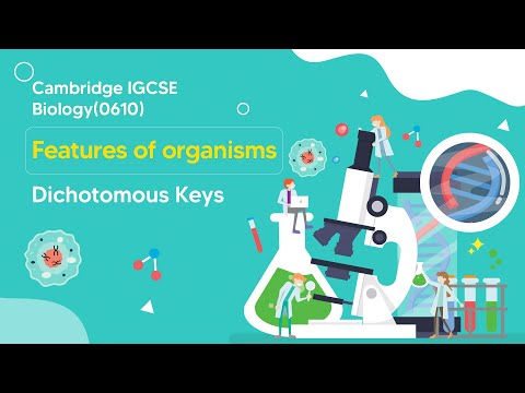 Mastering Dichotomous Keys in IGCSE Biology ??: Everything You Need to Know!