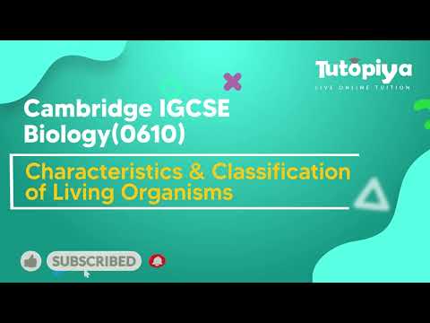 Features of Organisms : Groups within the plant kingdom | IGCSE Biology Tutorial