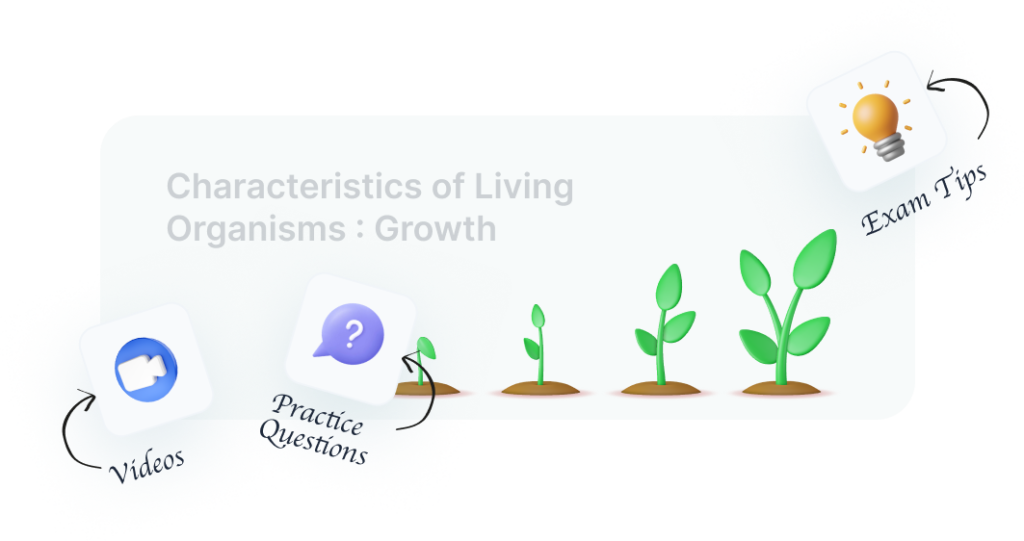 interactive-resources