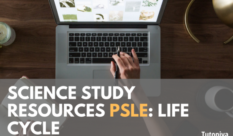 Blog Article Headers (2)