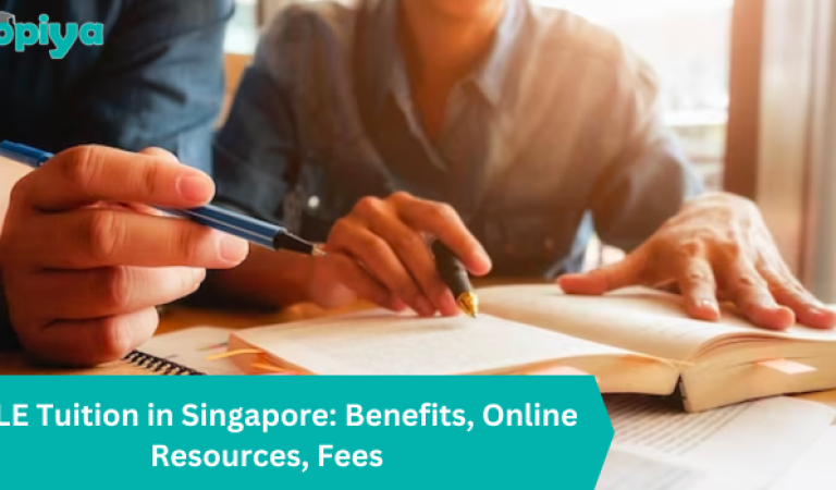 PSLE Tuition in Singapore Benefits, Online Resources, Fees