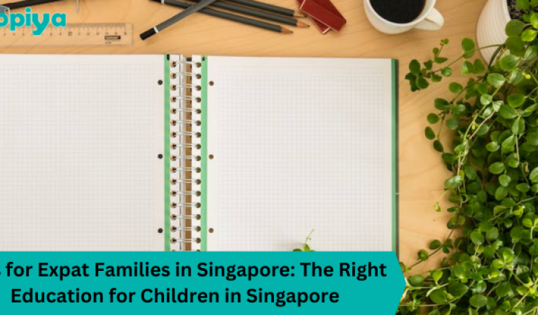 Tips for Expat Families in Singapore