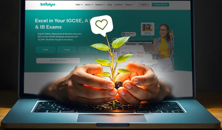 remote support to student (1)